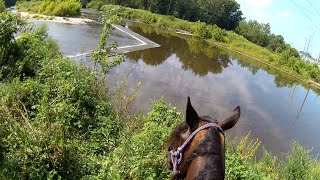 Trail ride to the creek we play racehorse at the end [upl. by Frodin]