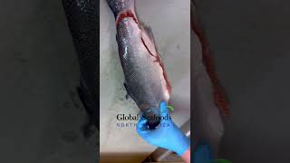 Mastering Sockeye Salmon Filleting A StepbyStep Guide [upl. by Ysle406]