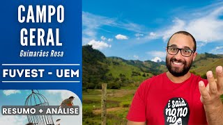 CAMPO GERAL  FUVEST  UEM  Guimarães Rosa  Resumo  Análise [upl. by Trace]