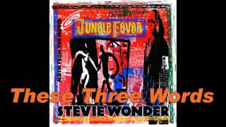 Stevie Wonder These Three Words instrumental flv YouTube [upl. by Ahsemed]