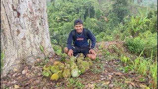 Nginap dirumah pohon sambil pasang pancing sidat dan cari buah durian digunung🤤 KOOKIKO [upl. by Giustino]