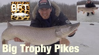 Big TROPHY Northern Pike Ice fishing Late Ice tips amp Locations [upl. by Porett2]