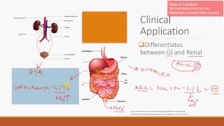 Urine Anion Gap [upl. by Hara254]