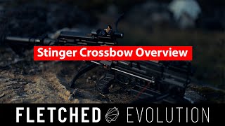 Steambow Stinger AR6  Compact Repeating Crossbow [upl. by Dela]