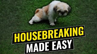 How to housebreak any dog [upl. by Ennoira]