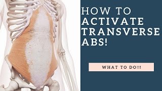 How To Activate The Transversus Abdominis TA Muscle amp Strengthen It [upl. by Asirak101]