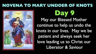 Mary Undoer of Knots Novena Day 9 [upl. by Rutter]