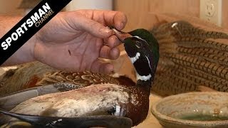 Game Bird Mount Tips Part 1 [upl. by Naujek]