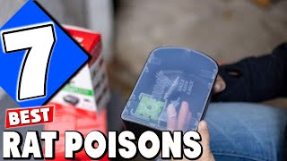 Best Rat Poisons of 2024 Our Top Picks [upl. by Mariken120]