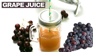 Grape Juice  Quick and Easy Way to Make Grape Juice with a Manual Juicer [upl. by Dorolice]