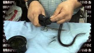 curso colocacion extensiones y cortinas cabello natural PARTE 1 [upl. by Palila]