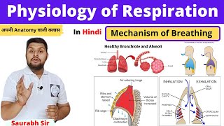 Mechanism of RespirationPhysiology of respiration in Hindi inspiration expirationNursing NEET [upl. by Lamoree266]