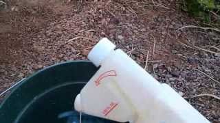 DIY termite extermination [upl. by Wolfort]