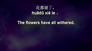 Chinese Sentences 14 [upl. by Aible]