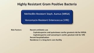 Antibiotics for Gram Positive Infections Antibiotics  Lecture 4 [upl. by Ellivro]