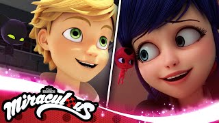 MIRACULOUS  🐞 TROUBLEMARKER 🐞  Ladybug amp Cat Noir  हिन्दी [upl. by Ylyl808]