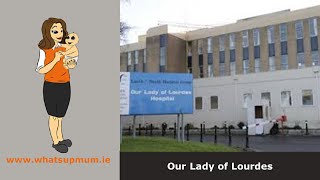 Our Lady of Lourdes Drogheda 2020 [upl. by Nylrak]