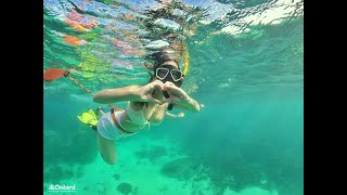 Ultimate Snorkeling Trip in Phu Quoc Island Vietnam  Professional Snorkeling Experience [upl. by Sieber]