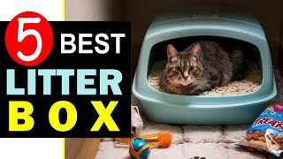 Best Cat Litter Box 2024 🏆 Top 5 Best Cat Litter Box Reviews [upl. by Yartnod363]