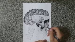 Pointillism drawingDotting drawing  الرسم بالتنقيط [upl. by Ahsiatal]