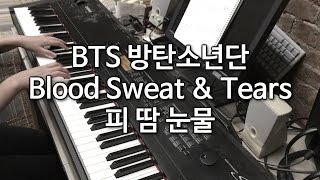 BTS 방탄소년단  피 땀 눈물 Blood Sweat amp Tears Piano Cover 피아노 커버 [upl. by Flannery320]