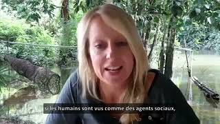 Lhomme doitil intervenir sur la survie des animaux lors détudes de terrain [upl. by Loftis391]