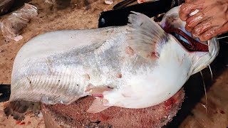 Incredible Giant Wallago Attu Catfish Egg Collection Skills And Amazing Cutting Skills। [upl. by Barton]