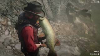 How To Quickly Catch A 19lbs Fish Survivalist 9  RED DEAD REDEMPTION 2 [upl. by Annatnom959]