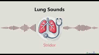 Lung Sounds Stridor [upl. by Wordoow]