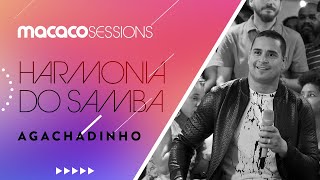 Harmonia do Samba  Agachadinho  Macaco Sessions Ao Vivo [upl. by Dolley]