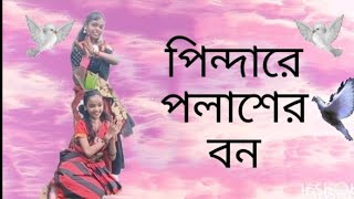 pindare polasher Bon।। ❤️ পিন্দারে পলাশের বন।। ❤️dance ❤️ please subscribe my channel🤗❤️ [upl. by Ecnaret]