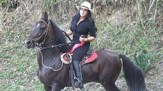 Cabalgata en Caicedonia Fiestas Aniversarias 108 Años [upl. by Gerlac]