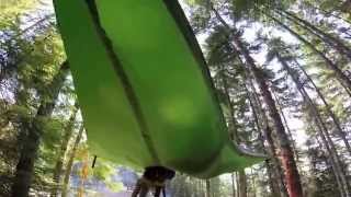 Crazy Tree Tent  Tentsile  Stingray  First Setup [upl. by Aldarcy]