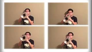 SEVEN NATION ARMY  TRUMPET COVER [upl. by Delgado]