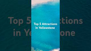 Top 5 attractions to visit in Yellowstone National Park yellowstone attractions [upl. by Resa187]