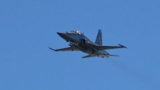 Northrop F5E Tiger II Swiss Air Force Shooting to ground Target Axalp 2018 Airshow [upl. by Noramac905]