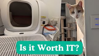 1 Year with Automatic Cat Litter Box  Petkits Robot Pura Max Reviewed [upl. by Aita]