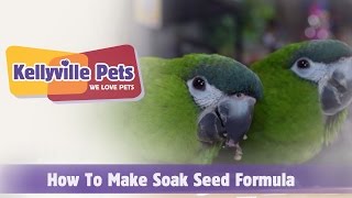 Kellyville Pets  How to make Soak Seed Food for Birds [upl. by Swartz]