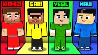 24 SAAT BOYUNCA TEK RENK CHALLENGE 😱  Minecraft [upl. by Suivatram]