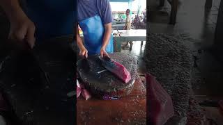 Amazing very fresh tuna meats slicing skills shorts fyp tunacuttingskills viral fish trending [upl. by Yrolg743]