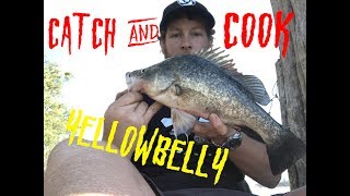 CATCH AND COOK  Yellowbelly caught on live worms EP 003 [upl. by Kinzer]