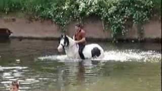 Appleby Horse Fair June [upl. by Ahtivak]