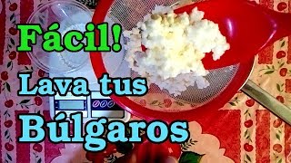 😲¿Quieres hacer que CREZCAN tus bulgaros pequeños🤫 Ve este vídeo❗❗ [upl. by Harshman943]