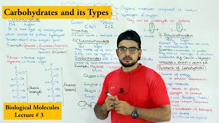 Carbohydrates  A type of biological molecule  Functions and Classification [upl. by Franza]