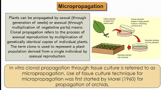 Micropropagation  Its methods steps  Clonal propagation in PTC  somatic embryogenesis [upl. by Malinde]