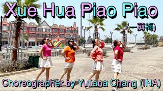 XUE HUA PIAO PIAO  一剪梅  Remix  Line Dance [upl. by Novyad]