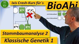 Klassische Genetik 2 Stammbaumanalyse 2  Genotypen begründen bei Xchromosomal rezessiven Erbgängen [upl. by Chaddie]