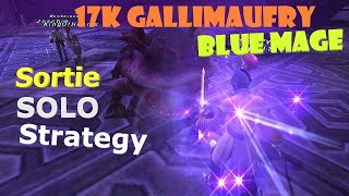 FFXI Blue Mage  Sortie Solo Strategy  17k Gallimaufry Goal  Part 1 [upl. by Caldeira]