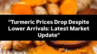 quotTurmeric Prices Drop Despite Lower Arrivals Latest Market Updatequot [upl. by Vivianne651]