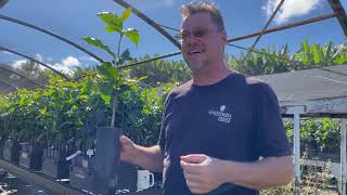 Greenwell Farms Seed to Cup Farm Tour [upl. by Billmyre]